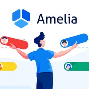 Lifetime Deal to Amelia for $49